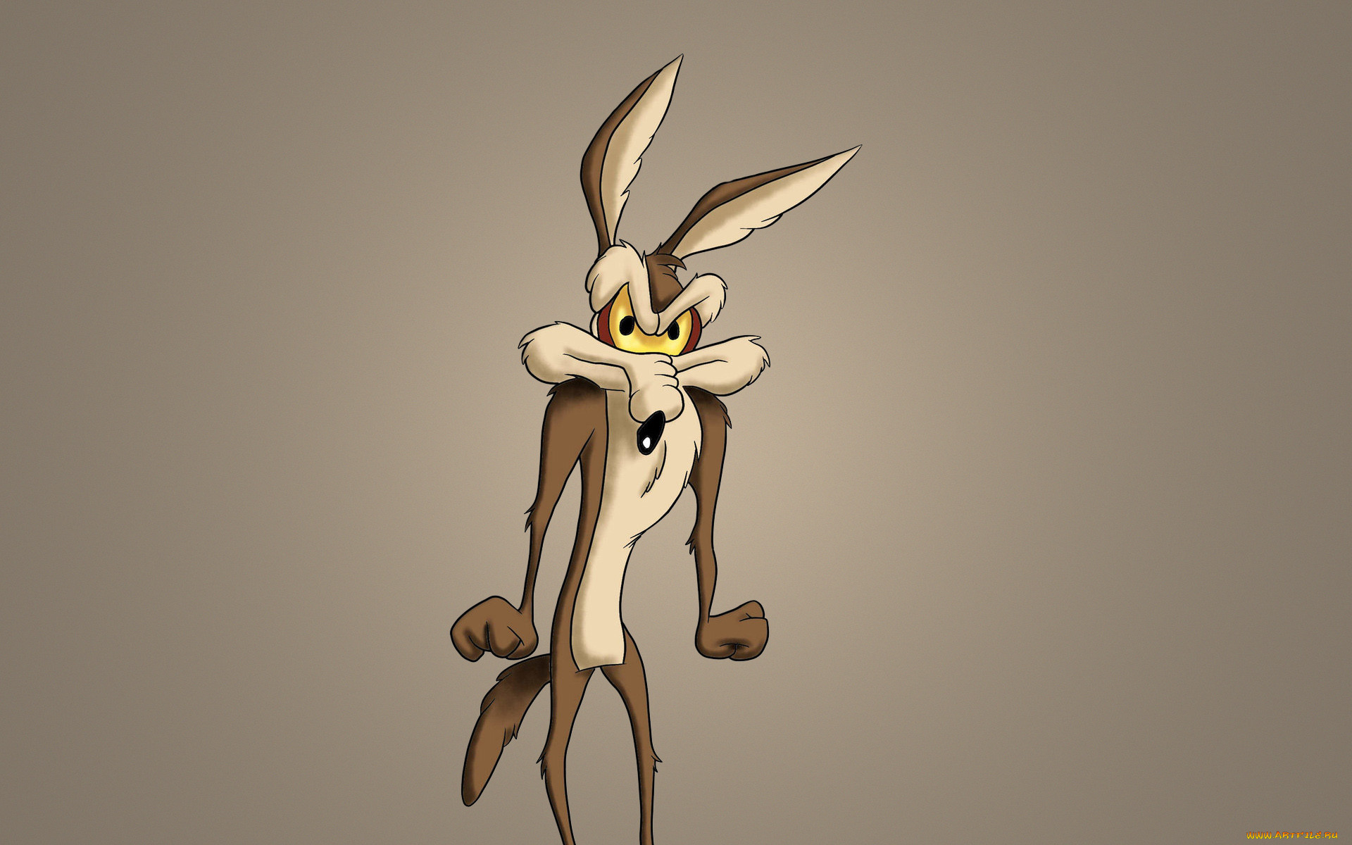  , , looney tunes, , , , , looney, tunes, 